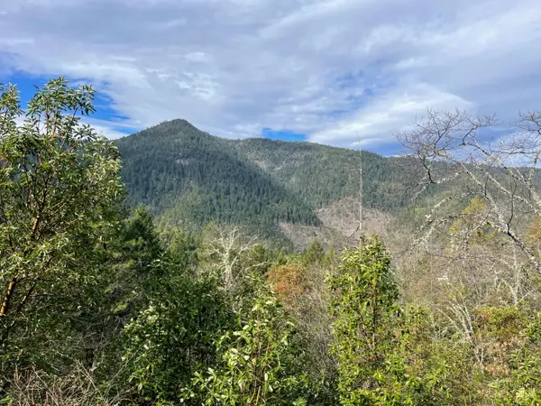 0 Savage Creek Rd Tl2502, Rogue River, OR 97537