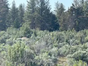 0 Council Butte #Lot 8, Beatty, OR 97621 - #1
