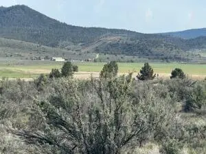 0 Council Butte #Lot 8, Beatty, OR 97621 - #3