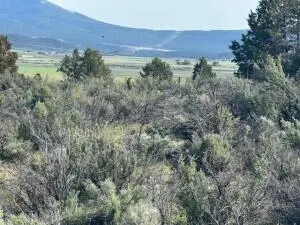 0 Council Butte #Lot 7, Beatty, OR 97621 - #2