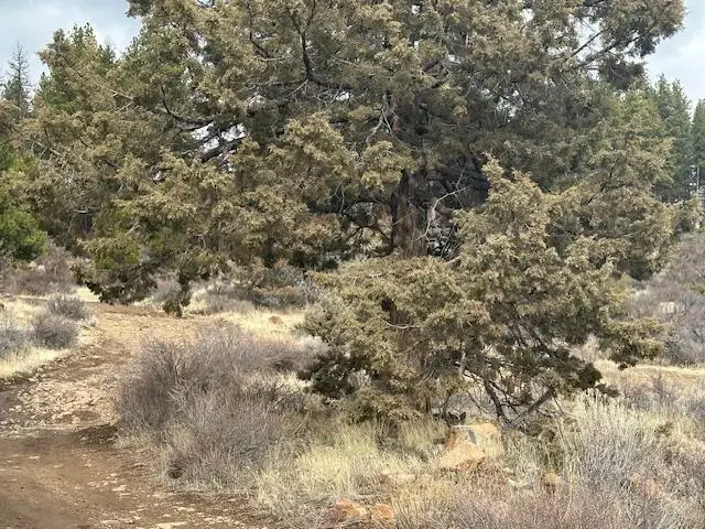 0 Cote Canyon #Lot 17, Sprague River, OR 97639 - #3