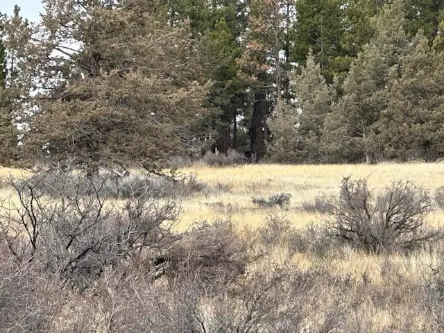 0 Cote Canyon #Lot 19, Sprague River, OR 97639 - #2