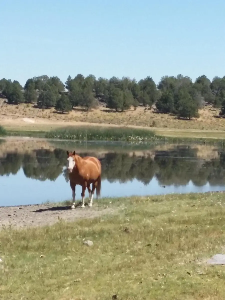 0 Sprague River Highway, Sprague River, OR 97639 - #2