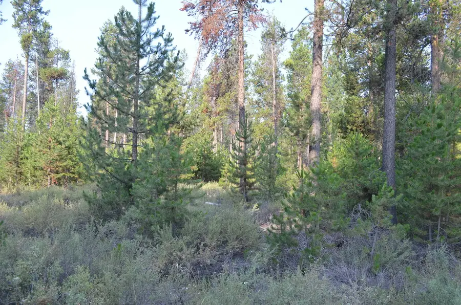 59 Royce Mountain Way, Crescent Lake, OR 97733 - #3