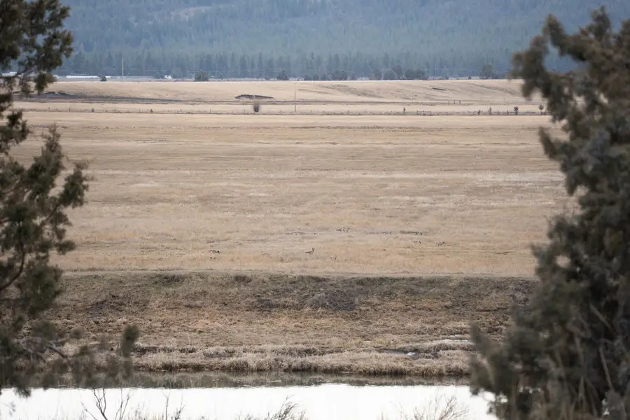 28319 Drews Road, Sprague River, OR 97639 - #2