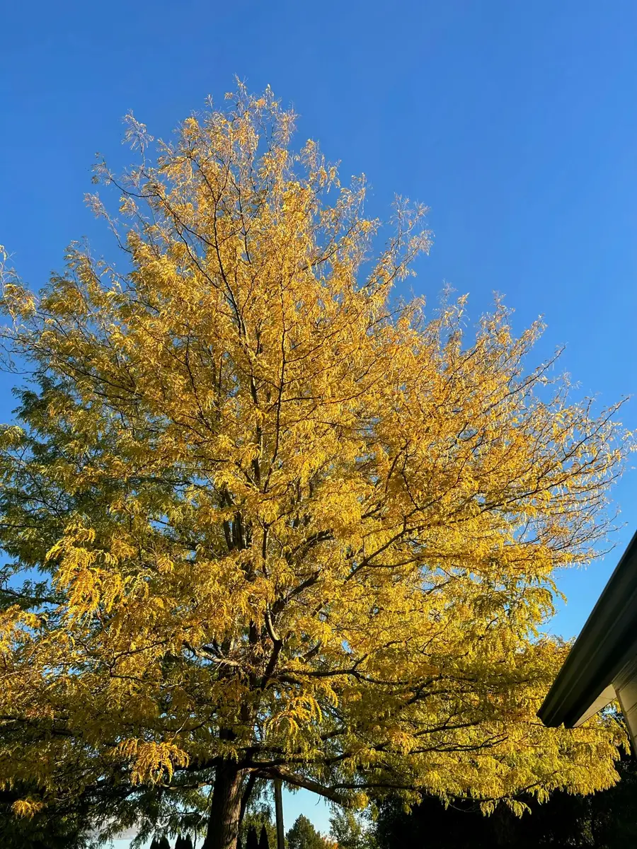 3041 SW Salmon Avenue, Redmond, OR 97756 - #2