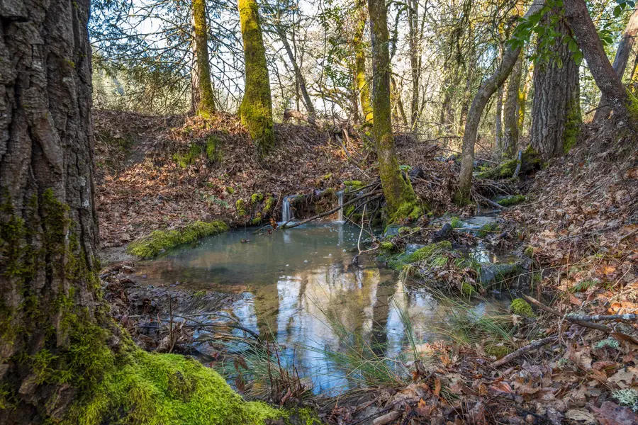 424 Genverna Glen, Grants Pass, OR 97527 - #2