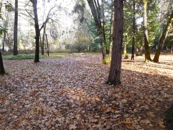 424 W Lister Street, Cave Junction, OR 97523