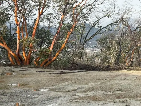 2040 SE Wyndham Way, Grants Pass, OR 97527