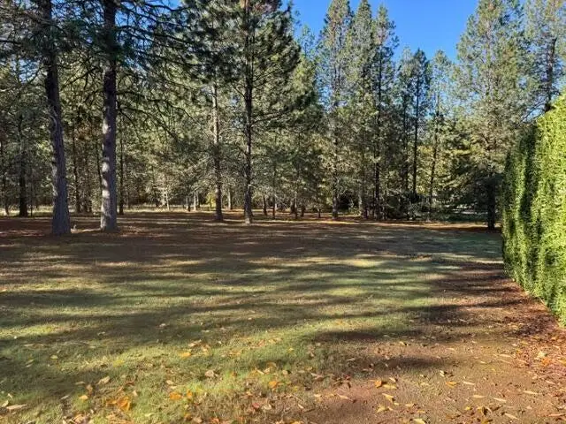 876 Ferry Road, Grants Pass, OR 97526 - #3