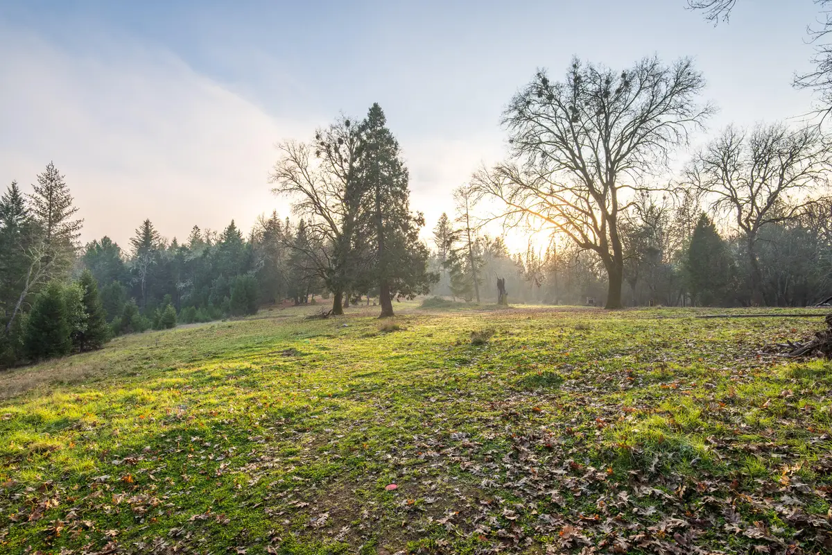 4401 Fish Hatchery Road, Grants Pass, OR 97527 - #1