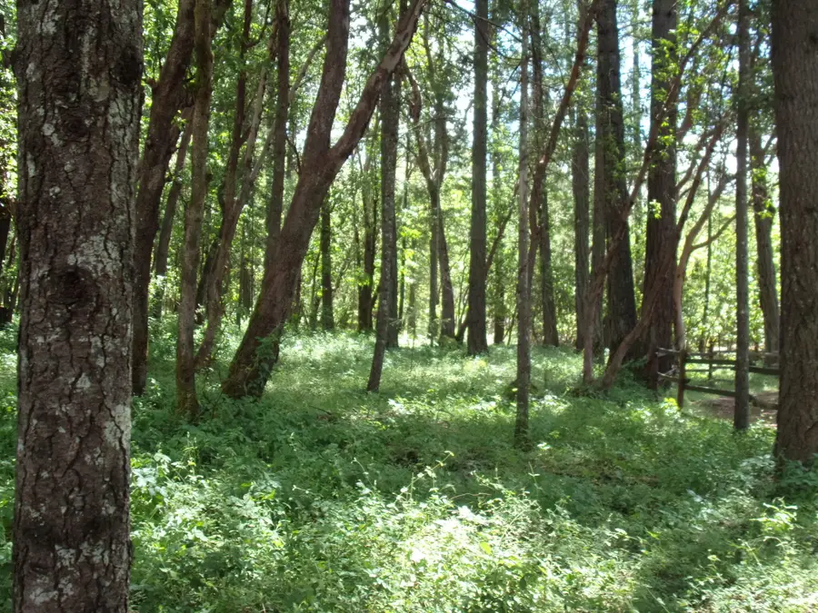 2409 Smokey Lane, Grants Pass, OR 97527 - #3