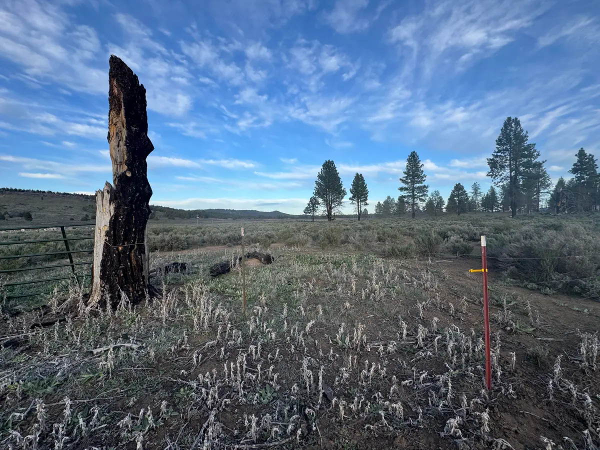 0 Mule Deer Drive #1, Sprague River, OR 97639 - #1