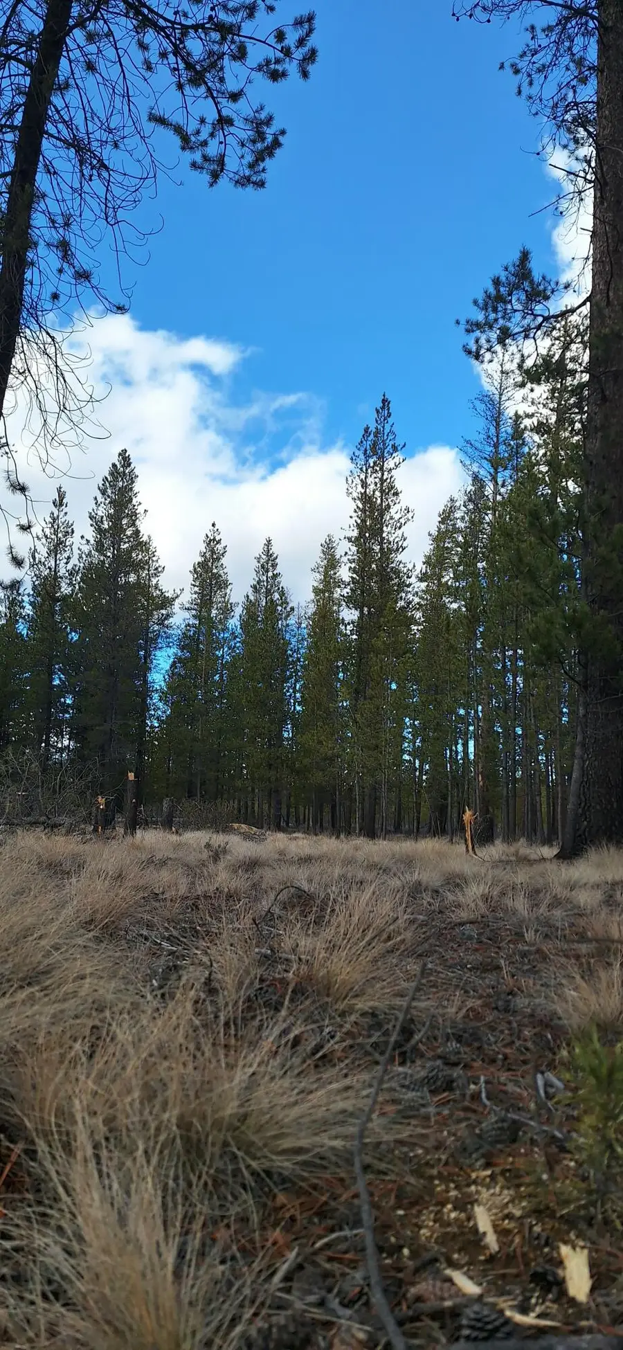 Sun Forest Drive #1200, La Pine, OR 97739 - #2