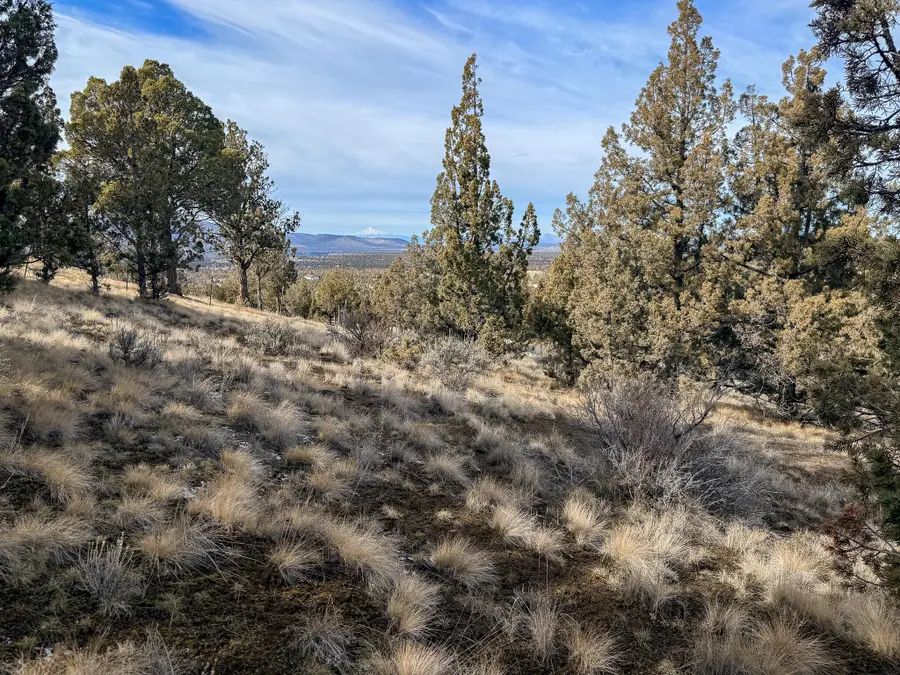 2600 SE Tl 2600 Seneca Road, Prineville, OR 97754 - #2