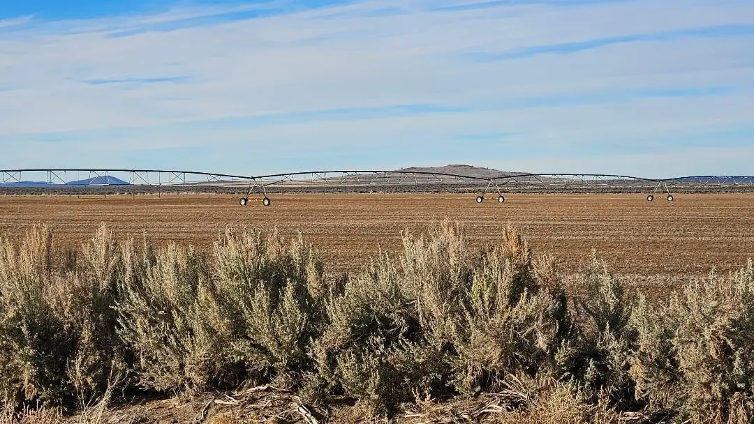 Off Fossil Lake Road #TL 1200, Christmas Valley, OR 97641 - #1