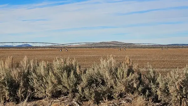 Off Fossil Lake Road #TL 1200, Christmas Valley, OR 97641