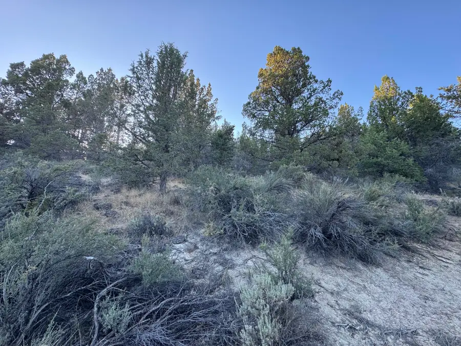 0 Wasco Street #100, Sprague River, OR 97639 - #2