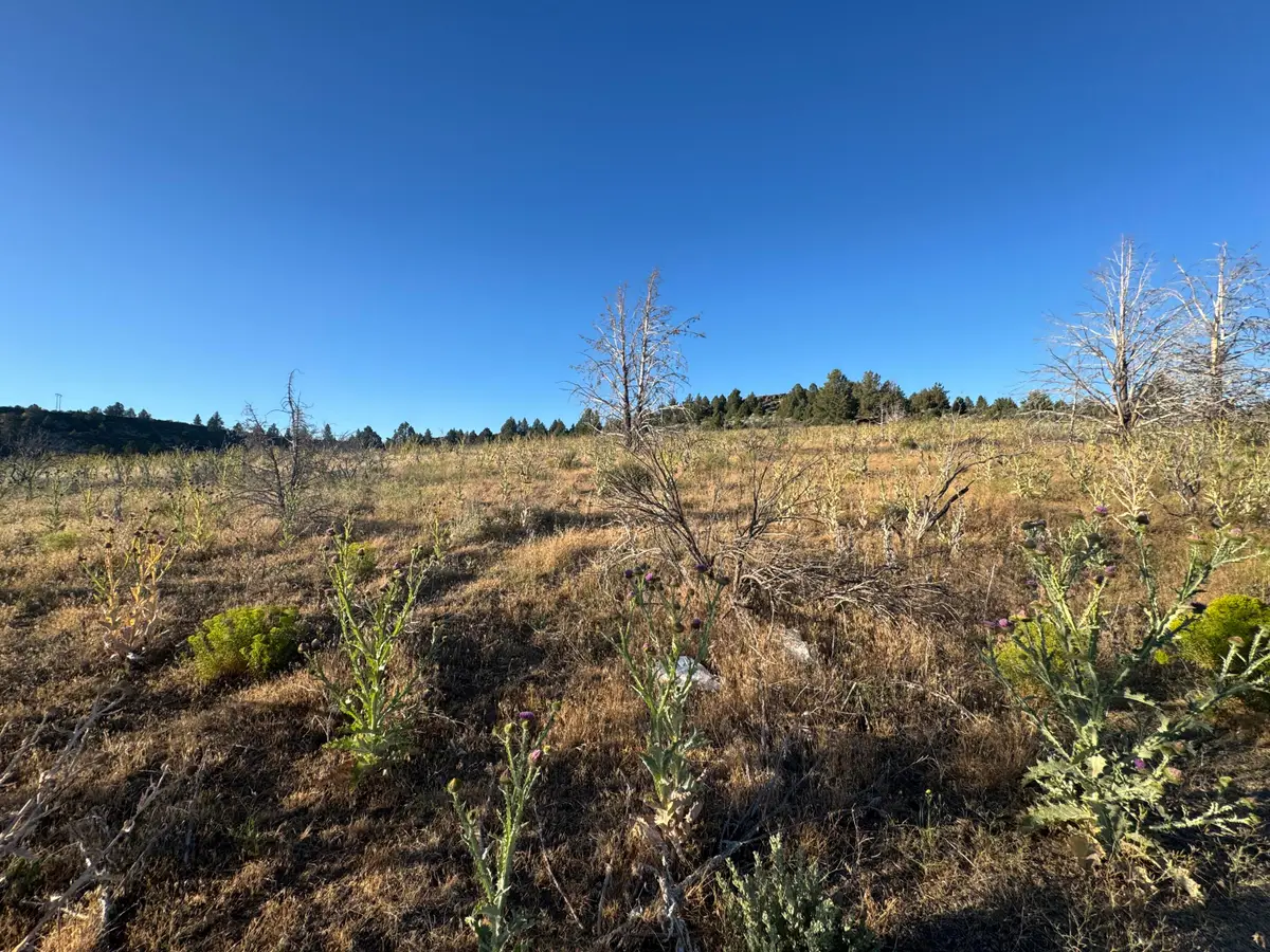 0 Curry Street #112, Sprague River, OR 97639 - #1