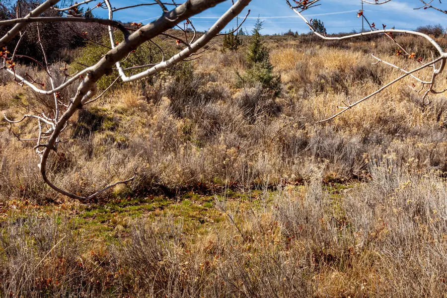 0 N Georgia Avenue, Klamath Falls, OR 97601 - #2