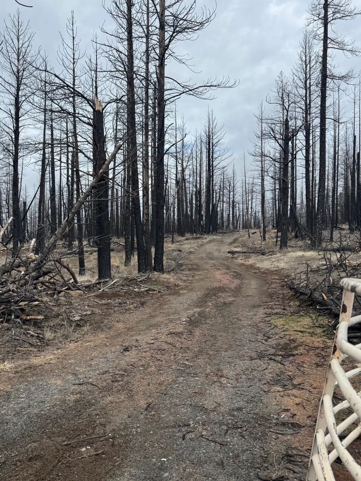 1100 Yellow Pine Road, Bly, OR 97622 - #1