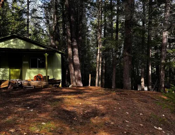 140 Draper Valley Road, Selma, OR 97538