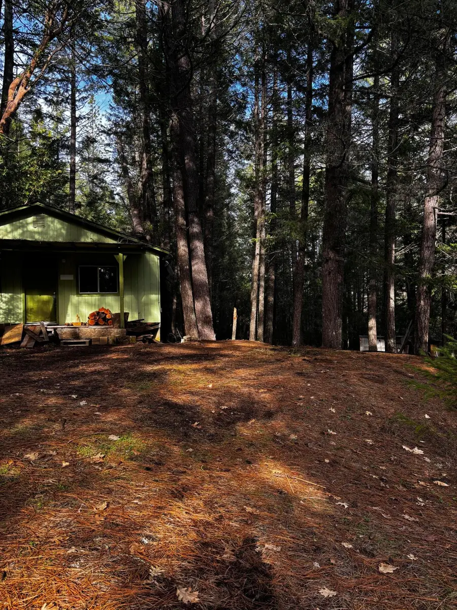 140 Draper Valley Road, Selma, OR 97538 - #2