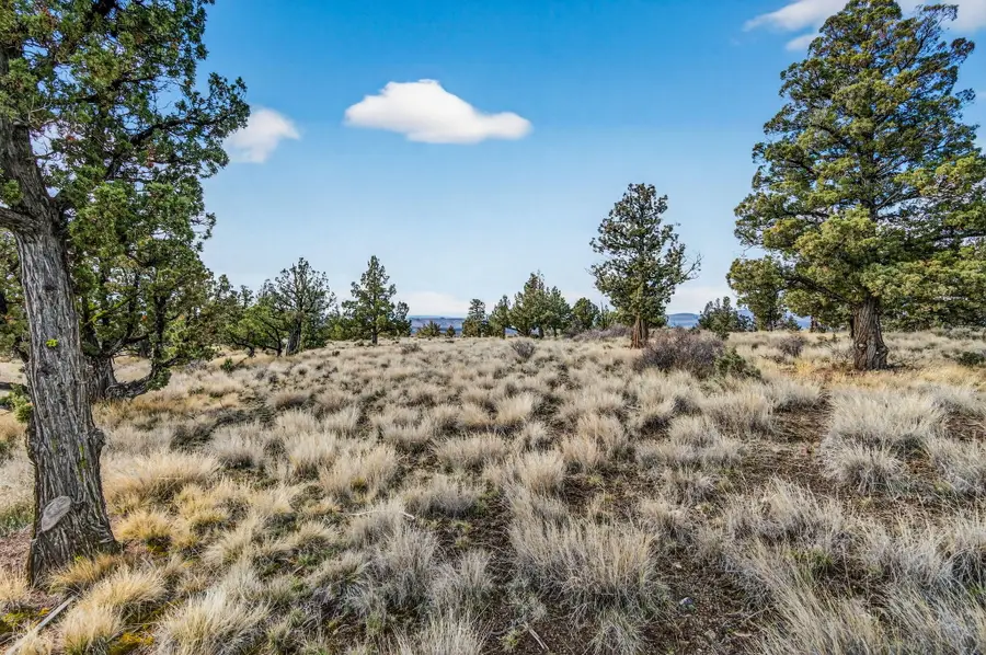SE Galveston Loop #Lot103, Prineville, OR 97754 - #3