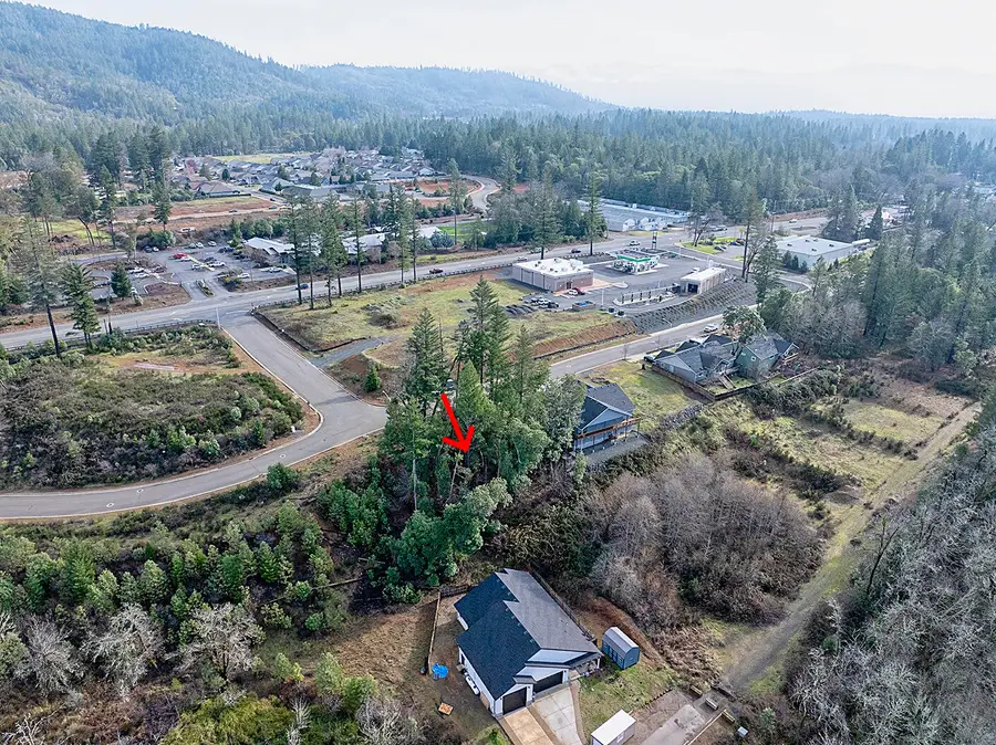 1282 Green Valley Drive, Cave Junction, OR 97523 - #3