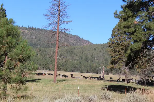 10612 Old Fort, Klamath Falls, OR 97601