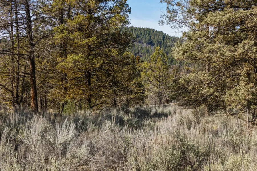 1124 Vine Maple Drive, Klamath Falls, OR 97601 - #3