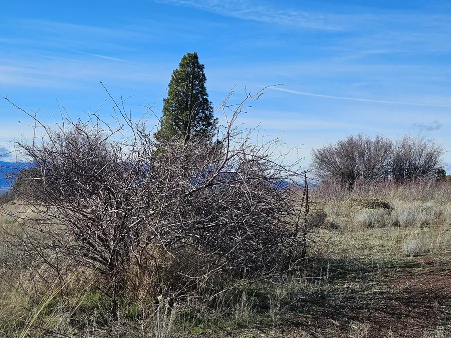 0 Lakeland Road #27, Chiloquin, OR 97624 - #3