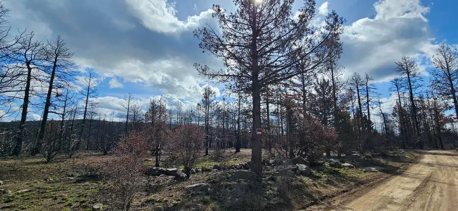 Mockingbird Drive #394530, Bonanza, OR 97623 - #3