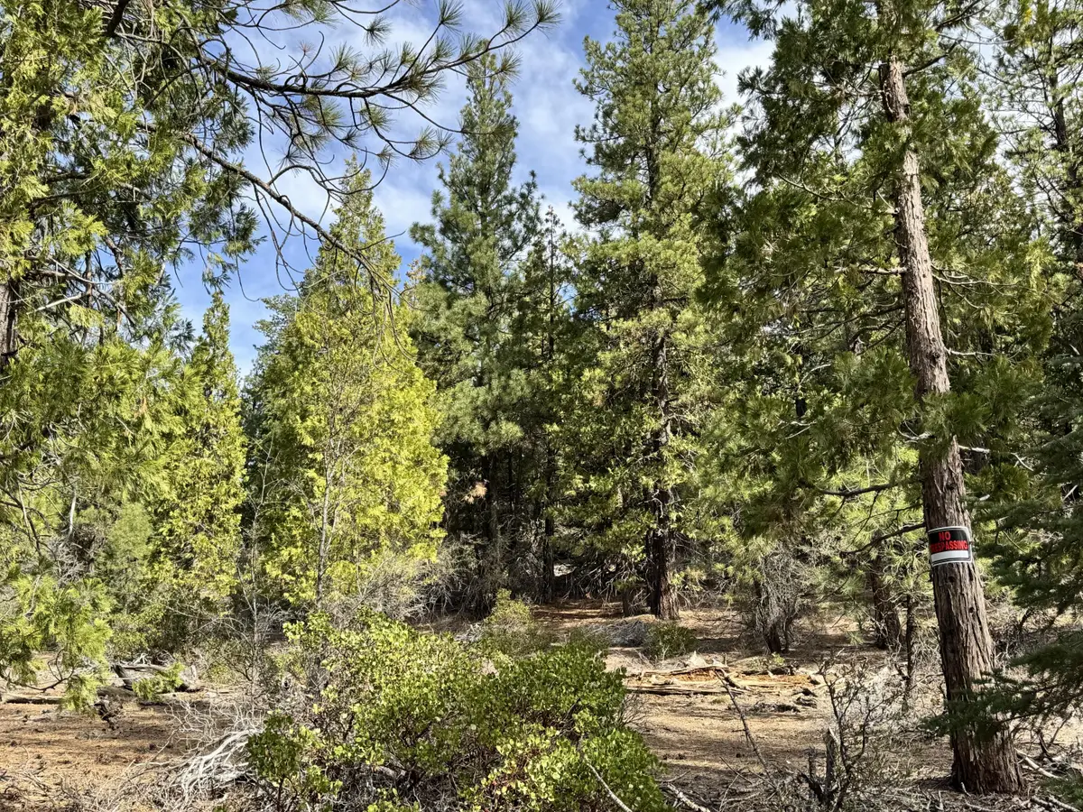 0 Whale Lane, Bonanza, OR 97623 - #1