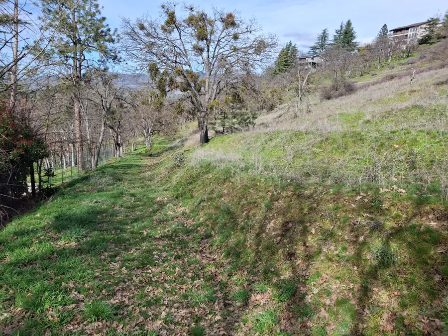 Pape Street, Ashland, OR 97520 - #2