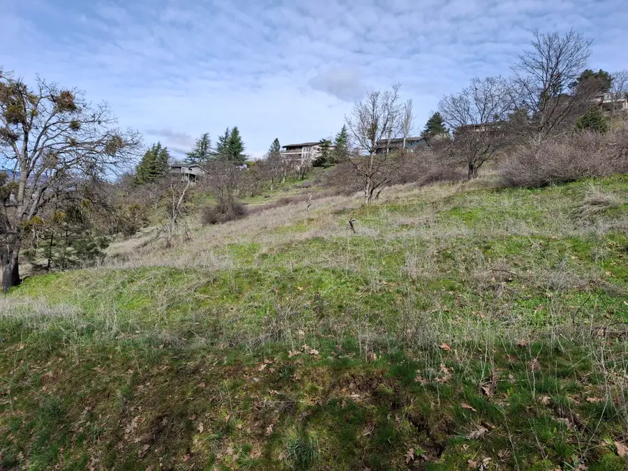 Pape Street, Ashland, OR 97520 - #3