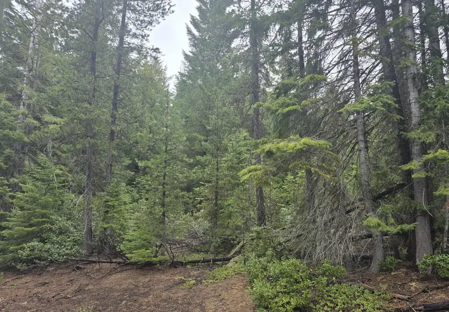 4 Royce Pine Road, Crescent Lake, OR 97733 - #3