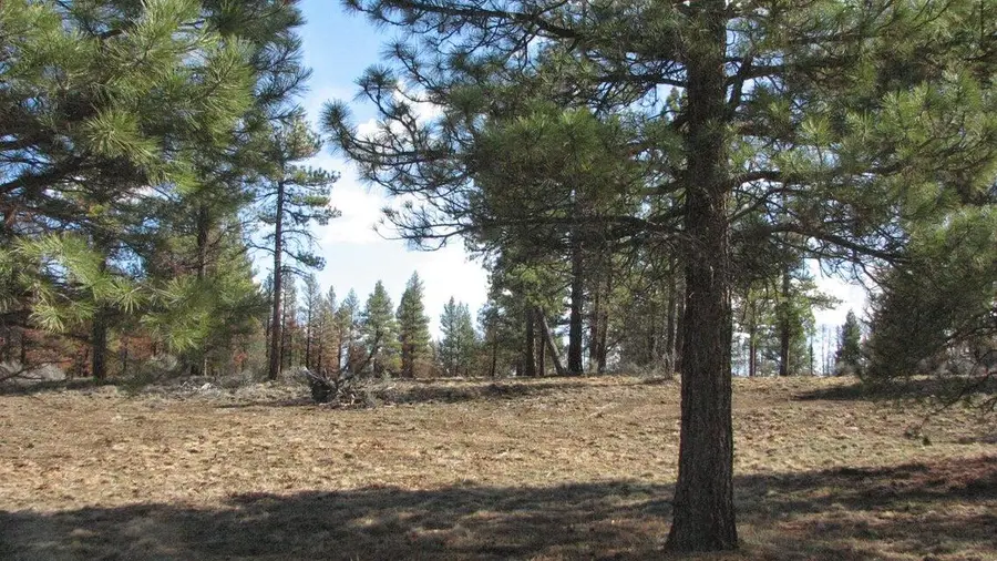 0 Canadian Honker Lane #9, Sprague River, OR 97639 - #2