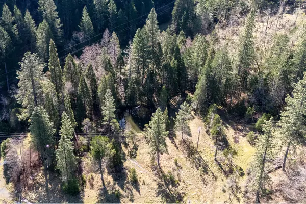 Warren Tl:1202 Road, Cave Junction, OR 97523