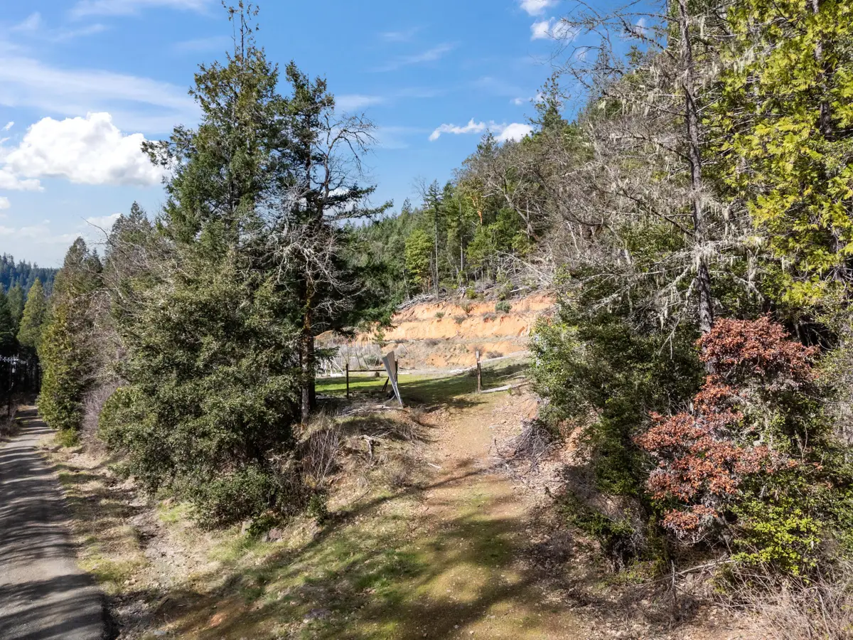 1324 Terrace Heights Road, Selma, OR 97538 - #1