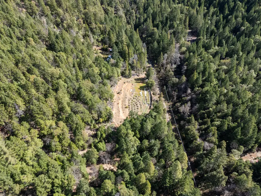 1324 Terrace Heights Road, Selma, OR 97538 - #3