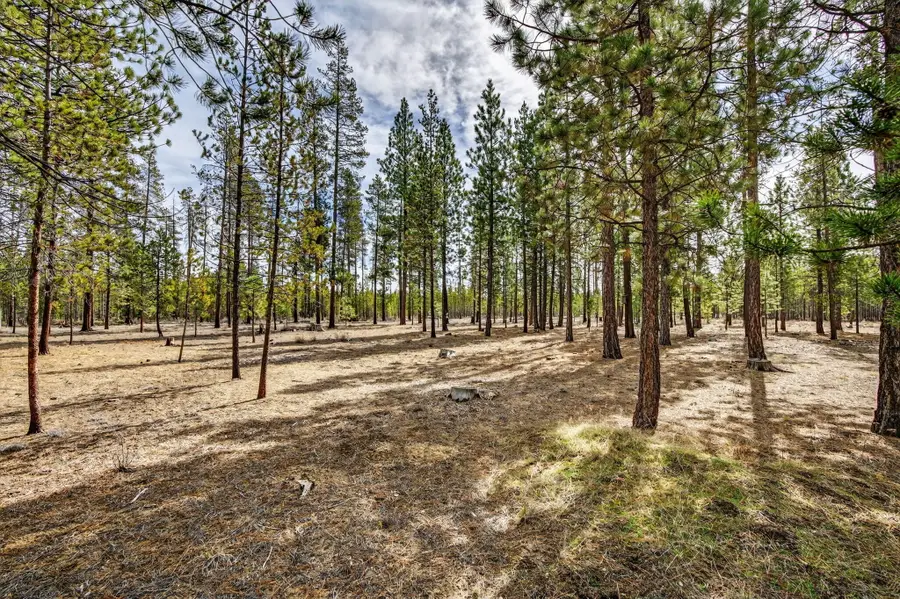 Pannier Court #Lot 19, La Pine, OR 97739 - #3