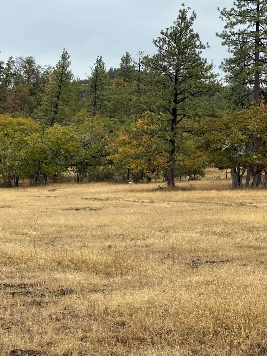 0 E Antelope Road #300, 301, Eagle Point, OR 97524 - #3