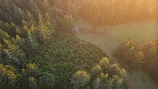 45721 U.s. 101, Langlois, OR 97450