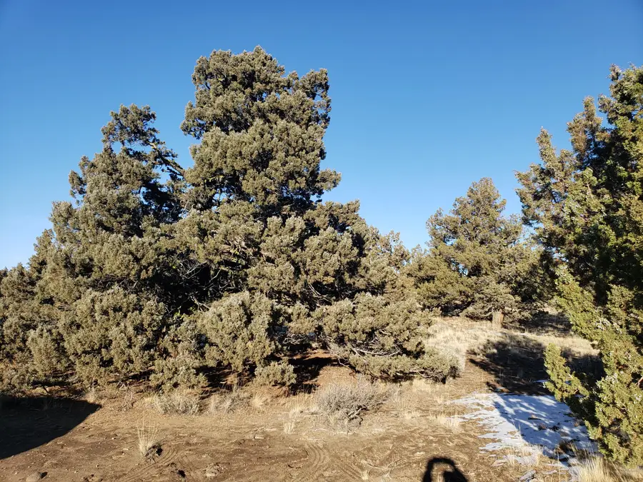 1400 Golden View Ranch, Bend, OR 97701 - #2