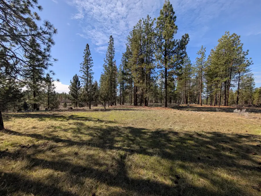 28660 Yonna Wood Road, Bonanza, OR 97623 - #2