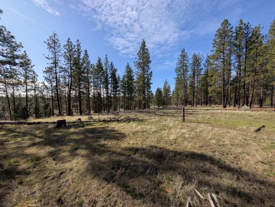 28660 Yonna Wood Road, Bonanza, OR 97623 - #3