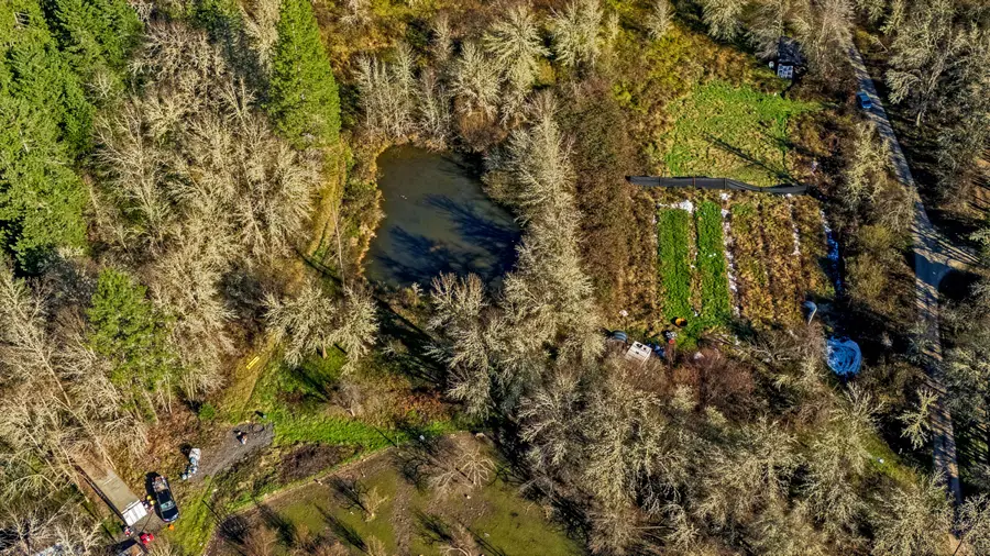 302 Three Mill Road, Selma, OR 97538 - #2