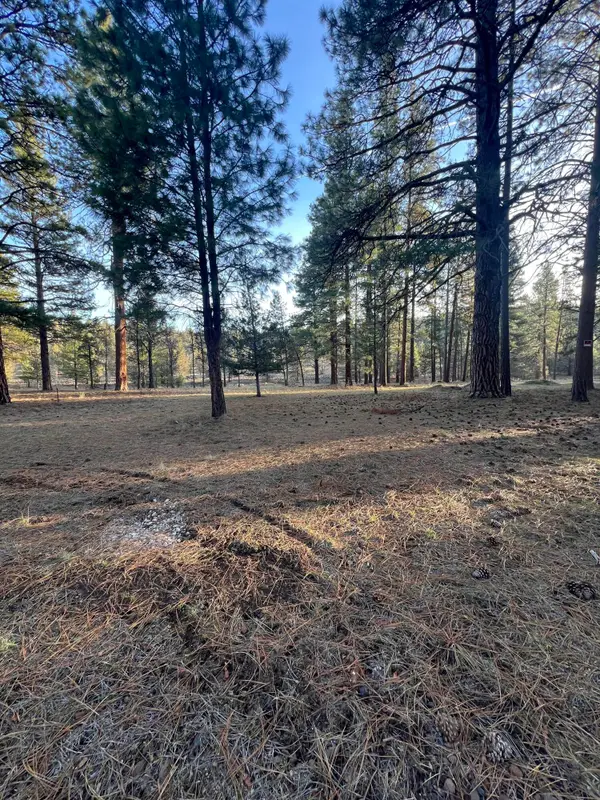 Overland Drive #4 & 5, Klamath Falls, OR 97603