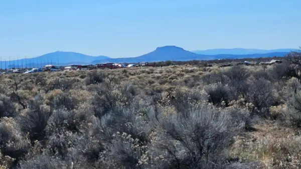 Honey Dew Lane #TL 2500, Christmas Valley, OR 97641